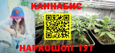 каннабис Кингисепп