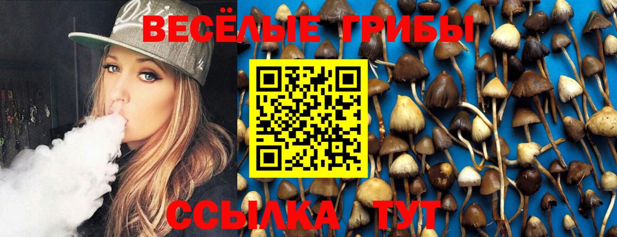 Галлюциногенные грибы прущие грибы Кунгур