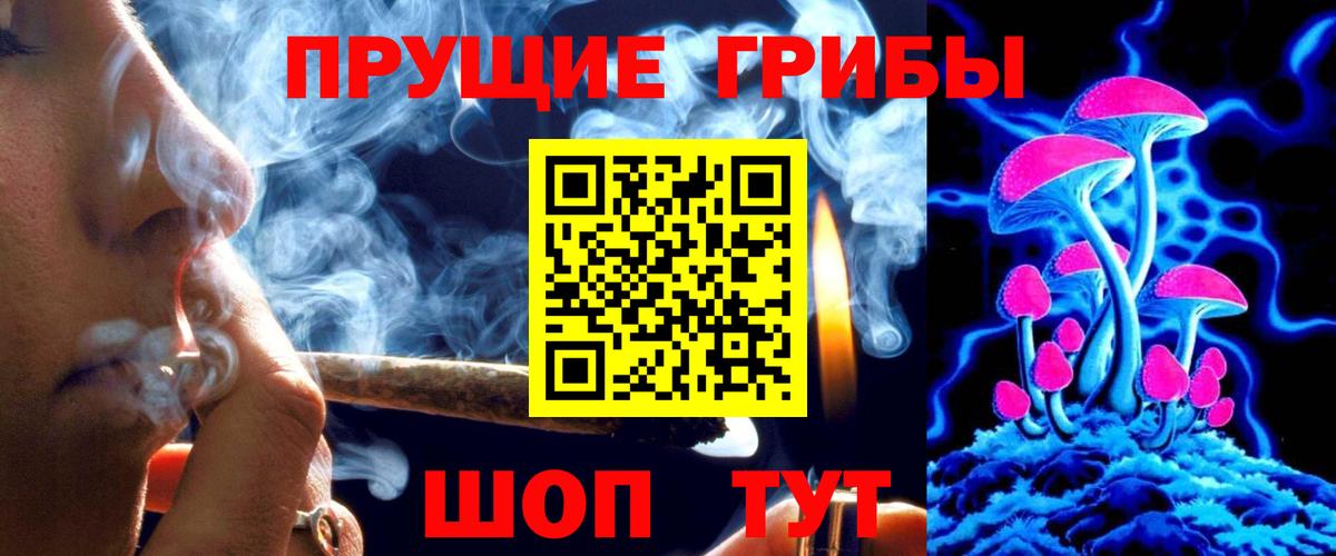 сколько стоит  Вход с VPN  Кунгур  Галлюциногенные грибы GOLDEN TEACHER 